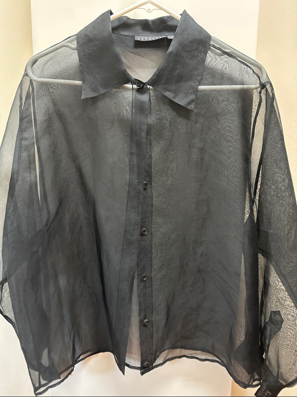 Express Sheer Black Button-Up Blouse